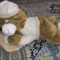 خرس خوابالو