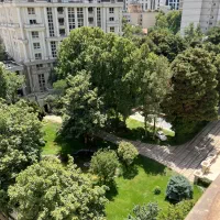 فروش-زمین-5000مترر-احمداباد-مستوفی