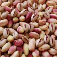پسته تازه دامغان با( تخفیف ویژه) مستقیم از باغدار