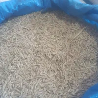 جو محلی|خدمات باغبانی و درختکاری|گلی داغ, |دیوار