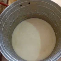 دوغ محلی