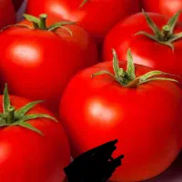 تره بار گوجه و پیاز
