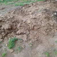 لاس‌ ،کود  حیوانی،کود