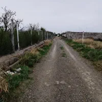 تهراندشت باغچه سند تک برگ آب برق
