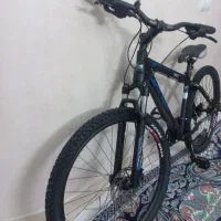دوچرخه vivaساخت چین اصلی