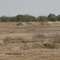 زمین جاده سرافرودگاه  علی اباد نور ۸