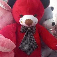 شاسخین گل دوزی ۱۶۰سانت خارجی