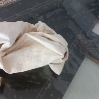 طرف یا پوست شیراز