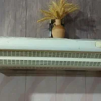 هود