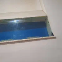 آکواریوم