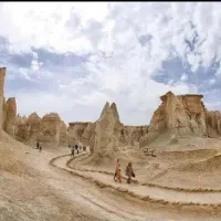 قشم گردی