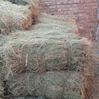 بیده یونجه پرس دستی