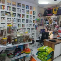 پت شاپ و کلینیک دامپزشکی زیتون