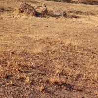 زمین در شهرک بسیجیان