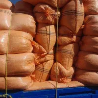 کاه دیم مخصوص گاو