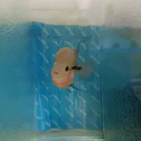 بچه ماهی فلاور هورن هددار گلچین