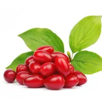 زغال اخته تازه و خوشمزه و رسیده