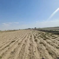زمین-جاده-احمداباد-به-باغخواص-بر-کانال
