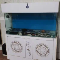 آکواریوم شیشه خم 70در120 با زیرش ماهی لجن خوار
