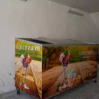 فریزر بستنی ۶۰۰لیتری سالم