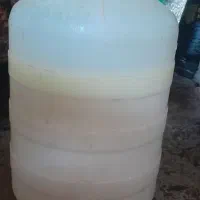 دوغ دوینه