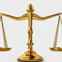 وکیل دادگستری، مشاور حقوقی