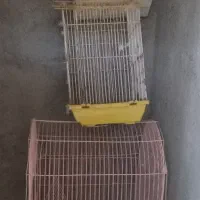 قفس پرنده