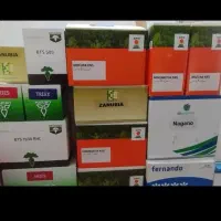 خرید و فروش  بذر چغندر