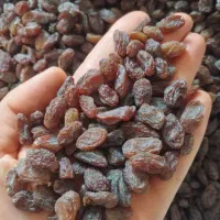 کشمش بیدانه آفتابی تاکستان(آبگیری) پاک شده تمیز