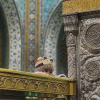 مشهد‌2روز‌دیگه‌‌ِبشتابید.