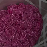 ۱۰ شاخه فول شاین
