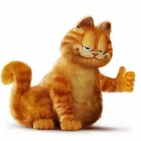 گربه پیدا کردیم