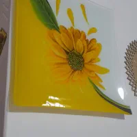 ست میوه خوری و۶عددبشقاب با ۲عددسینی چای نونو