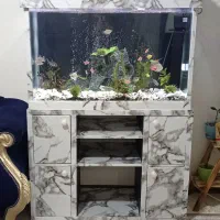 آکواریوم کامل خریدِ هوشمندانه و بی‌دردسر
