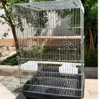 قفس
