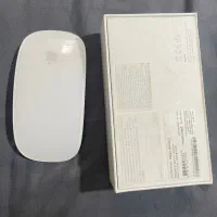Magic mouse  2