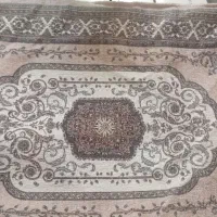 روپشتی قیمت مناسب