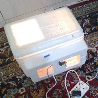 دستگاه جوجه کشی