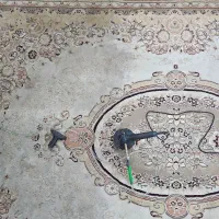 قالی شویی مبل شویی در منزل