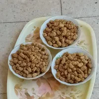 توت خشک مرغوب و تازه