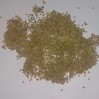 بذر یونجه نیکشهری
