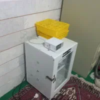 فروش دستگاه جوجه کشی دیجیتال