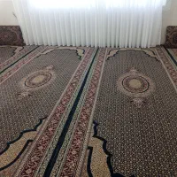 ۴تاقالی۶متر ی و۸عددپشتی سالم وتازه