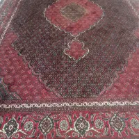 قالی نسوز