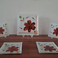 ظروف آشپز خانه