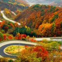 تنکابن یا رامسر به تهران
