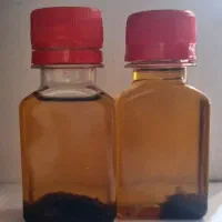 روغن خراطین اصل
