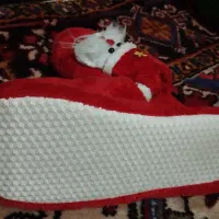 دمپایی پشم خونگی