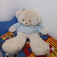 خرس بزرگ