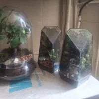 گلدان شیشه ای لوکس